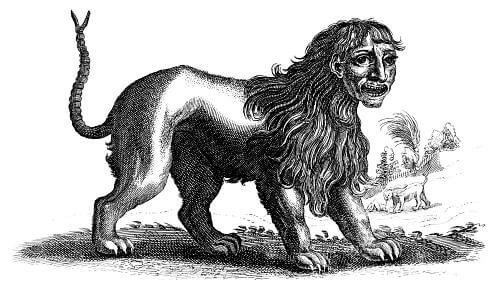 Ähnelt der Chimära ist aber ein anderes Wesen: Der Mantikor („Martigora“), Stich von Joannes Johnstonus (1678)