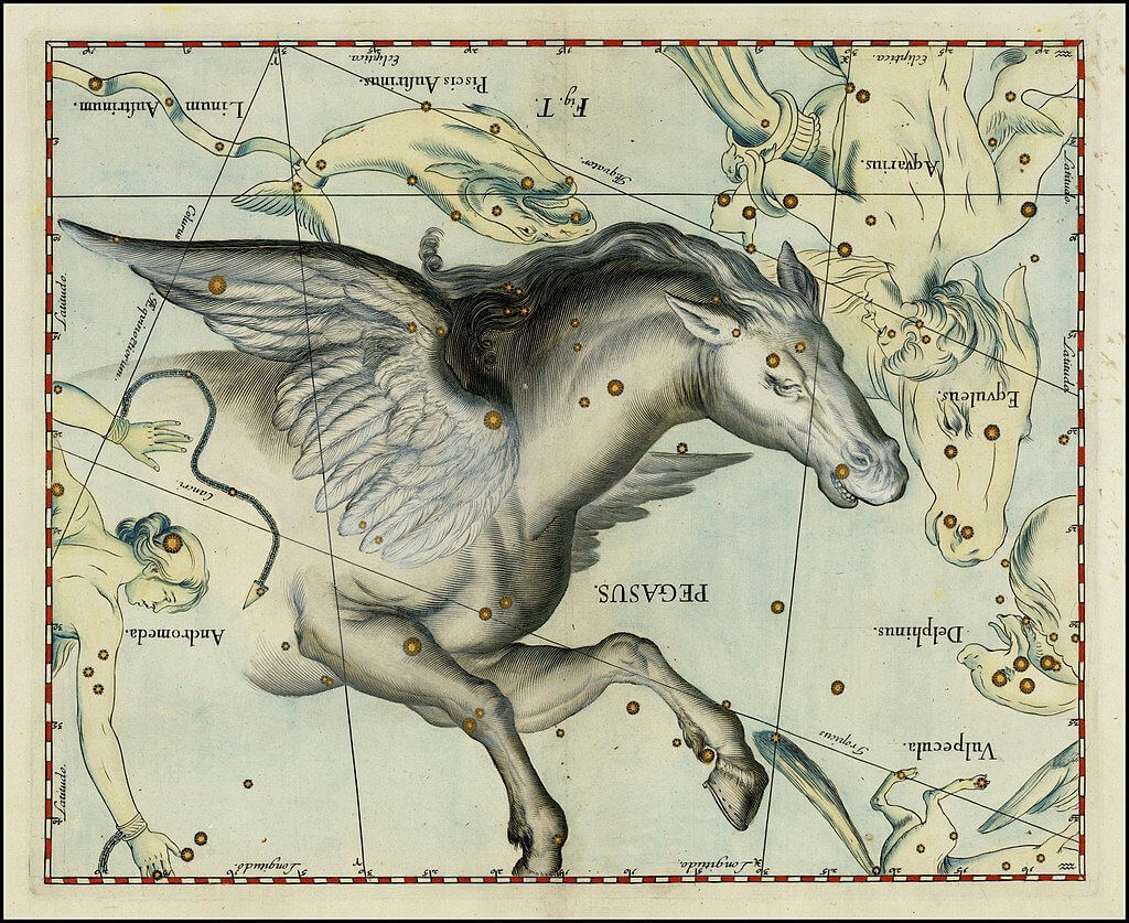 Pegasus Sternbild - Darstellung in Uranographia von Johannes Hevelius