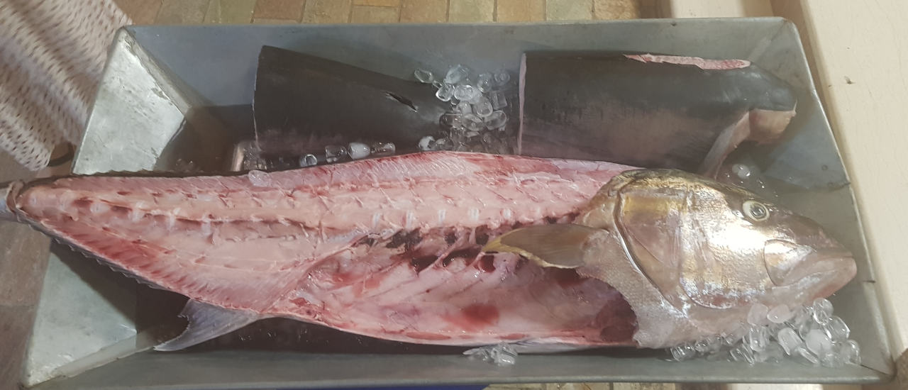 Frischen Fisch bekommt man in vielen Tavernen auf Kreta