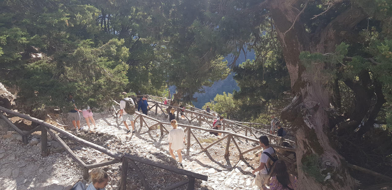 Der erste Weg führt Steil bergab in die Samaria-Schlucht